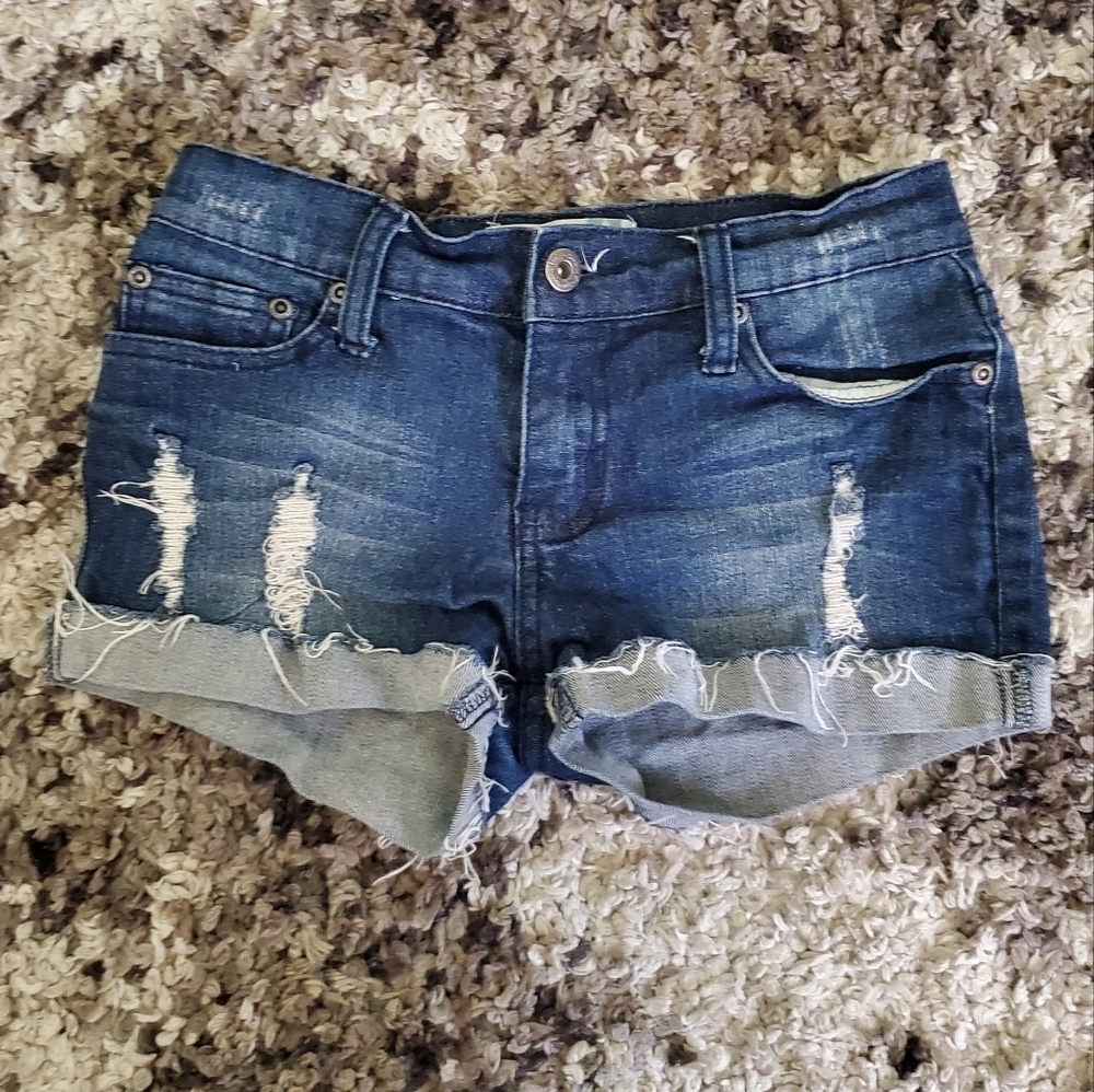 Vintage Havana Shorts Size 12